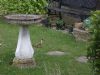 Green Woodpecker at Highlands Boulevard, Leigh (Paul Griggs) (105796 bytes) Green Woodpecker at Highlands Boulevard, Leigh (Paul Griggs) (105796 bytes)