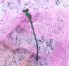 Willow Emerald Damselfly at South Fambridge (Paul Baker) (159254 bytes)