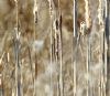 Penduline Tit at Magnolia NR, Hawkwell (Paul Griggs) (82897 bytes) Penduline Tit at Magnolia NR, Hawkwell (Paul Griggs) (82897 bytes)