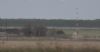 Rough-legged Buzzard at Wallasea Island (RSPB) (Jeff Delve) (24079 bytes) Rough-legged Buzzard at Wallasea Island (RSPB) (Jeff Delve) (24079 bytes)
